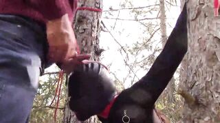 Tied to a tree, masked and outdoor deepthroat with no mercy