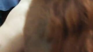 Redhead hooker sucking dick for creampie in her pussy