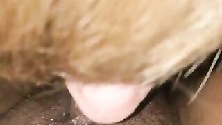 Daddy Licking my Pussy until I Squirt in his Mouth