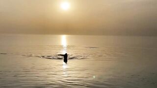 Monika Fox Esthetic Posing In The Sea