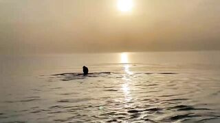 Monika Fox Esthetic Posing In The Sea