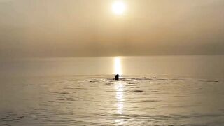 Monika Fox Esthetic Posing In The Sea