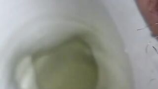 Pee in Toilet and Vagina Play