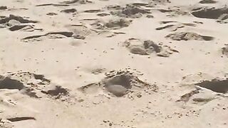 BIG FEET playing in the sand