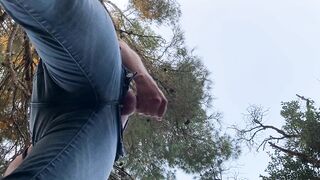 A dick got up in the forest, I had to jerk off so as not to tear my pants