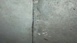Pissing outside hope neighbors don't see me