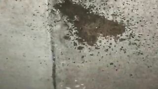 Pissing outside hope neighbors don't see me