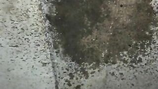 Pissing outside hope neighbors don't see me