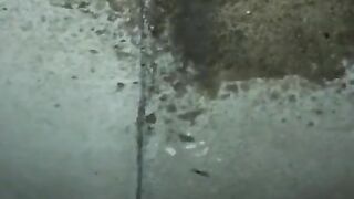 Pissing outside hope neighbors don't see me
