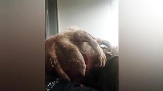 Florida Baddie with Wicks sucking GAKTrizzy dick on the balcony