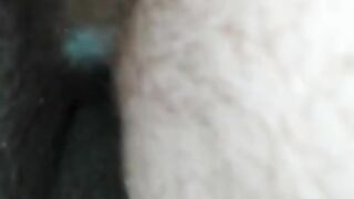 POV pussy fuck creamy dick in Pussy short video