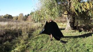 Dance of Leylakh