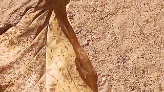Girl Pissing on a large leaf that has fallen from a tree to the ground in Nature Park