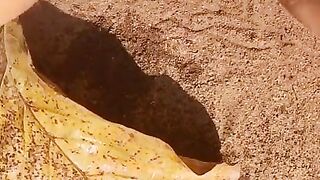 Girl Pissing on a large leaf that has fallen from a tree to the ground in Nature Park