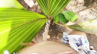 Piss on small Palm Tree (I made a Tropical Golden Shower)