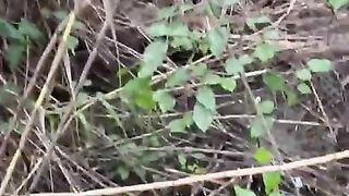 POV: South African Public Slut Sucks BBC on Hike