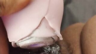 Hot Latina masturbating with rose clit vibe orgasm close up